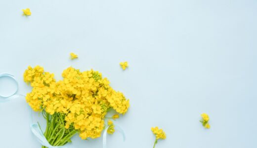 ２月休診のお知らせ