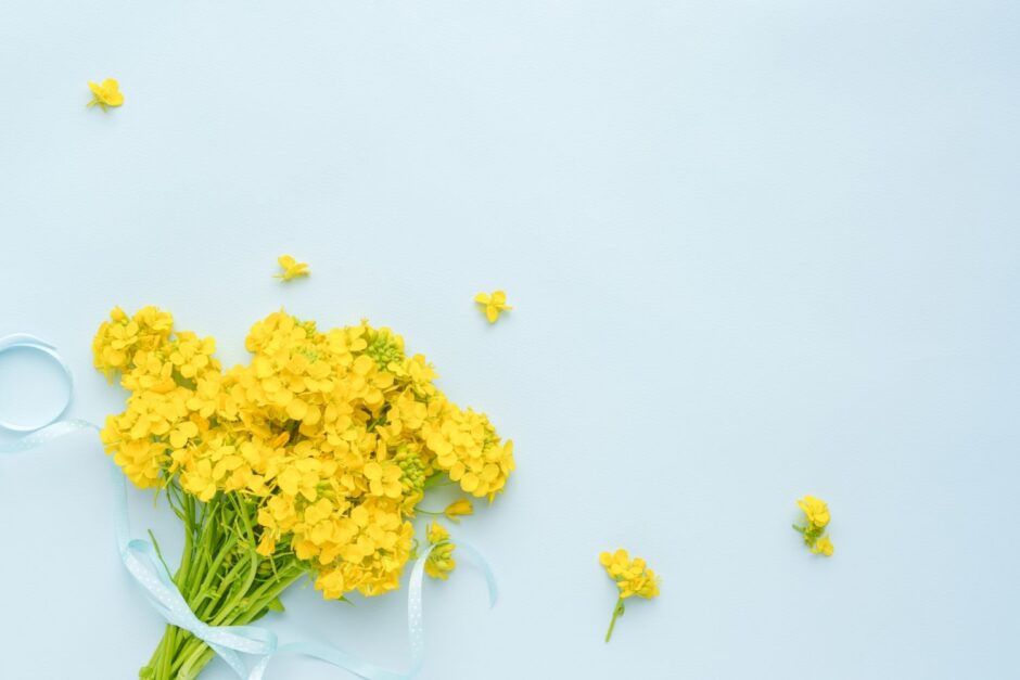 岡崎休診のお知らせ